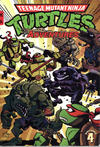 Cover for Teenage Mutant Ninja Turtles Adventures (IDW, 2012 series) #4