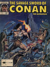 Cover for The Savage Sword of Conan (Marvel, 1974 series) #166 [Direct]