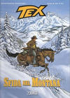Cover for Tex Romanzi a fumetti (Sergio Bonelli Editore, 2015 series) #4 - Sfida nel Montana