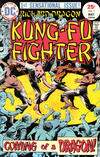 Cover for Richard Dragon, Kung-Fu Fighter (DC, 1975 series) #1