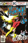 Cover for Richard Dragon, Kung-Fu Fighter (DC, 1975 series) #8