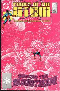 Cover Thumbnail for Power of the Atom (DC, 1988 series) #13 [Direct]