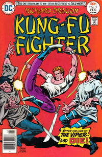 Cover for Richard Dragon, Kung-Fu Fighter (DC, 1975 series) #13