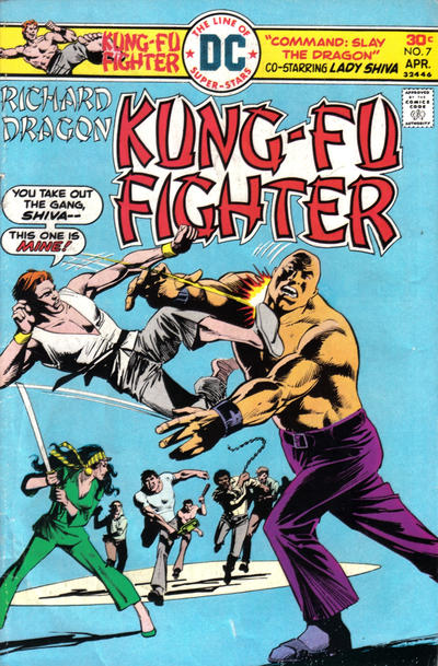 Cover for Richard Dragon, Kung-Fu Fighter (DC, 1975 series) #7