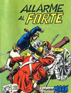 Cover for Il Comandante Mark (Sergio Bonelli Editore, 1972 series) #13