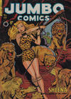 Cover for Jumbo Comics (H. John Edwards, 1950 ? series) #17