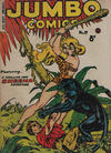 Cover for Jumbo Comics (H. John Edwards, 1950 ? series) #19