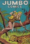 Cover for Jumbo Comics (H. John Edwards, 1950 ? series) #46