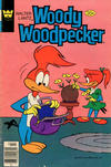 Cover for Walter Lantz Woody Woodpecker (Western, 1962 series) #176 [Whitman]