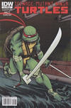 Cover Thumbnail for Teenage Mutant Ninja Turtles (2011 series) #1 [Cover RI-B - Incentive Dan Duncan Gatefold Variant]