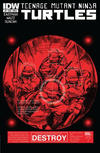 Cover for Teenage Mutant Ninja Turtles (IDW, 2011 series) #6 [Cover A - Dan Duncan]