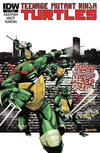 Cover for Teenage Mutant Ninja Turtles (IDW, 2011 series) #7 [Cover RI - Mark Torres Variant]