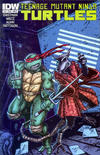 Cover for Teenage Mutant Ninja Turtles (IDW, 2011 series) #13 [Cover B - Kevin Eastman Variant]