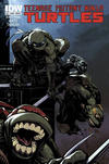 Cover Thumbnail for Teenage Mutant Ninja Turtles (2011 series) #11 [Cover RI - Zach Howard]