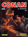 Cover for Conan Spada Selvaggia (Comic Art, 1986 series) #24
