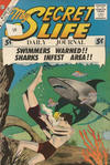 Cover for My Secret Life (Charlton, 1957 series) #41 [British]