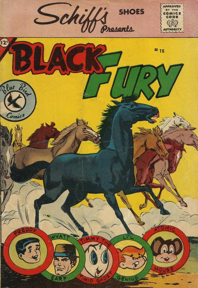 Cover for Black Fury (Charlton, 1959 series) #15 [Schiff]