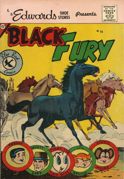 Cover for Black Fury (Charlton, 1959 series) #15 [Edwards]