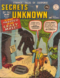 Cover Thumbnail for Secrets of the Unknown (Alan Class, 1962 series) #203