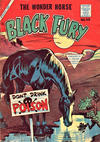 Cover for Black Fury (L. Miller & Son, 1957 series) #58