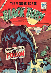 Cover Thumbnail for Black Fury (L. Miller & Son, 1957 series) #58