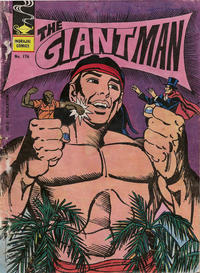 Cover Thumbnail for Indrajal Comics (Bennett, Coleman & Co., 1964 series) #176