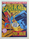 Cover for The Spectacular Spider-Man Weekly (Marvel UK, 1979 series) #356