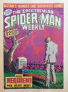 Cover for The Spectacular Spider-Man Weekly (Marvel UK, 1979 series) #352