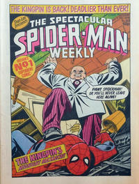 Cover Thumbnail for The Spectacular Spider-Man Weekly (Marvel UK, 1979 series) #353
