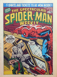 Cover Thumbnail for The Spectacular Spider-Man Weekly (Marvel UK, 1979 series) #345