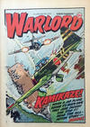 Cover for Warlord (D.C. Thomson, 1974 series) #249
