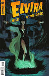 Cover Thumbnail for Elvira Mistress of the Dark (2018 series) #1 [Cover D Craig Cermak]