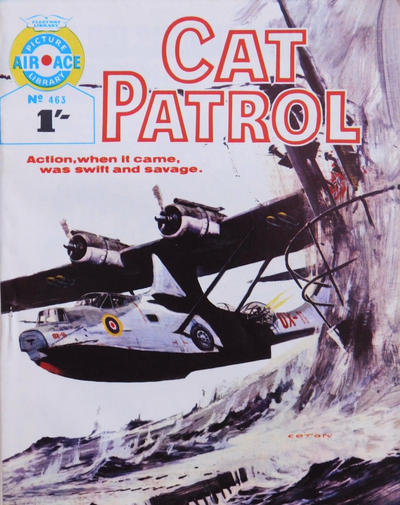 Cover for Air Ace Picture Library (IPC, 1960 series) #463