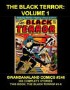 Cover for Gwandanaland Comics (Gwandanaland Comics, 2016 series) #246 - The Black Terror Volume 1