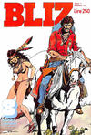 Cover for Bliz (Casa Editrice Universo, 1977 series) #v1#13