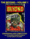 Cover for Gwandanaland Comics (Gwandanaland Comics, 2016 series) #383 - The Beyond - Volume 1