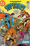 Cover for The New Adventures of Superboy (DC, 1980 series) #13 [Newsstand]