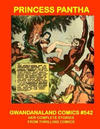Cover for Gwandanaland Comics (Gwandanaland Comics, 2016 series) #542 - Princess Pantha
