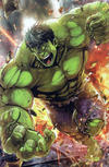 Cover for Immortal Hulk (Marvel, 2018 series) #7 [Maxx Lim 'Battle Lines']