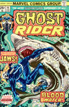 Cover for Ghost Rider (Marvel, 1973 series) #16 [Regular Edition]