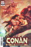 Cover Thumbnail for Conan the Barbarian (2019 series) #1 (276) [Bill Sienkiewicz]