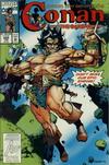 Cover Thumbnail for Conan the Barbarian (1970 series) #269 [Direct]