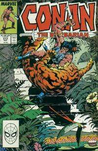 Cover for Conan the Barbarian (Marvel, 1970 series) #213 [Direct]