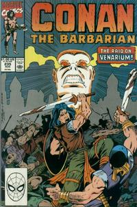 Cover Thumbnail for Conan the Barbarian (Marvel, 1970 series) #235 [Direct]