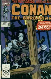 Cover for Conan the Barbarian (Marvel, 1970 series) #236 [Direct]