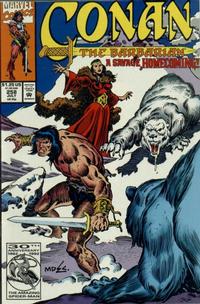 Cover for Conan the Barbarian (Marvel, 1970 series) #258 [Direct]