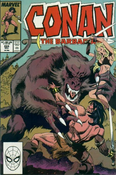 Cover for Conan the Barbarian (Marvel, 1970 series) #224 [Direct]