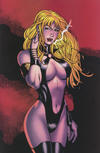 Cover for Vampirella Quarterly (Harris Comics, 2007 series) #1 [Spring 2008] [Cover E]
