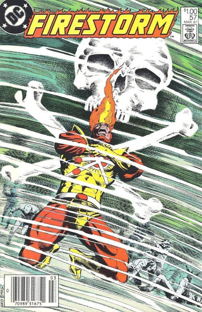 Cover for The Fury of Firestorm (DC, 1982 series) #57 [Canadian]