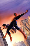 Cover Thumbnail for Amazing Spider-Man (2018 series) #1 (802) [Variant Edition - Alex Ross Exclusive - Amazing Fantasy #15 Homage]